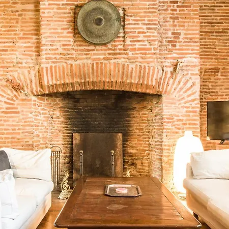 Le Pharaon - Bel Appt Toulousain 7p Avec Terrasse Apartment Toulouse